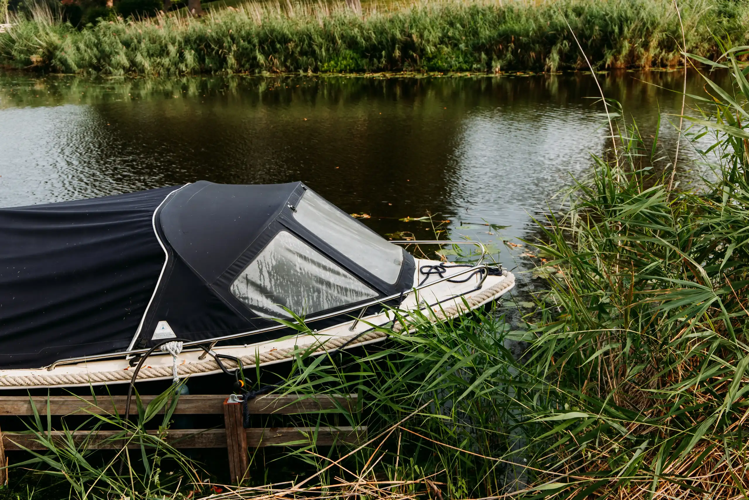 Bootje op het water naast het riet